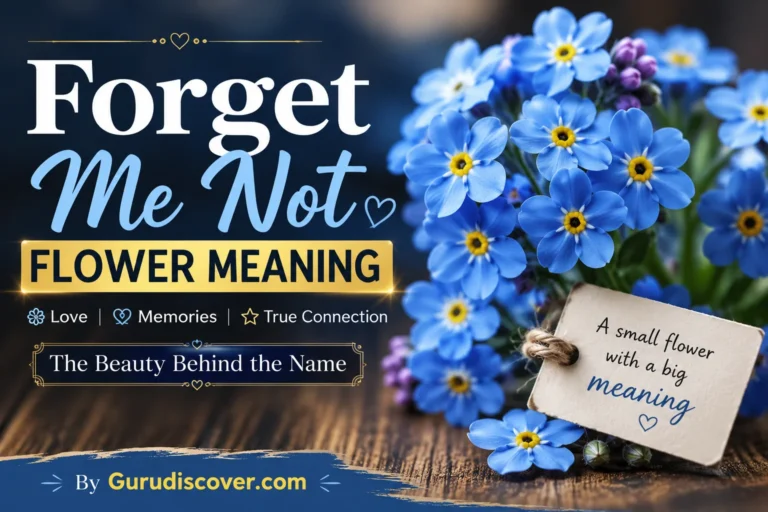 Forget Me Not Flower Meaning